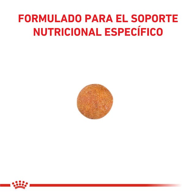 Royal Canin Gastrointestinal Moderate Calorie para Gato Necesidades Especiales - 3