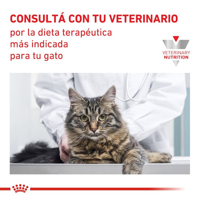 Royal Canin Gastrointestinal Moderate Calorie para Gato Necesidades Especiales - 5