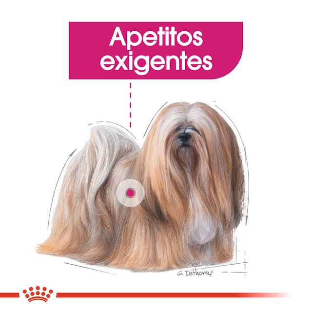 Royal Canin Exigent para Perro Adulto - 4