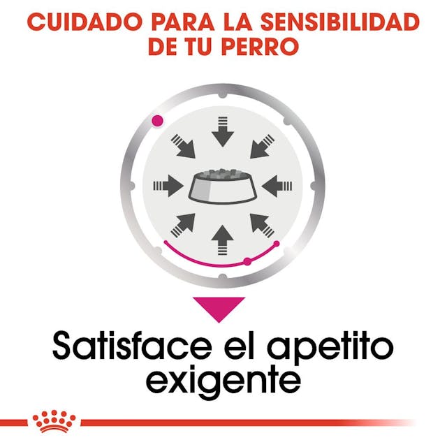 Royal Canin Exigent para Perro Adulto - 6