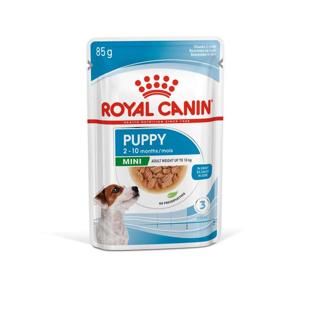 Royal Canin Mini Puppy para Perro Cachorro - 1