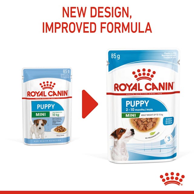 Royal Canin Mini Puppy para Perro Cachorro - 2