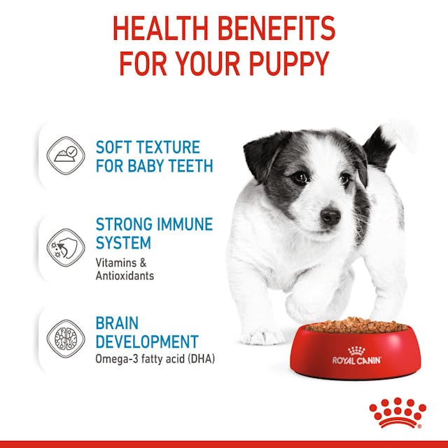 Royal Canin Mini Puppy para Perro Cachorro - 4