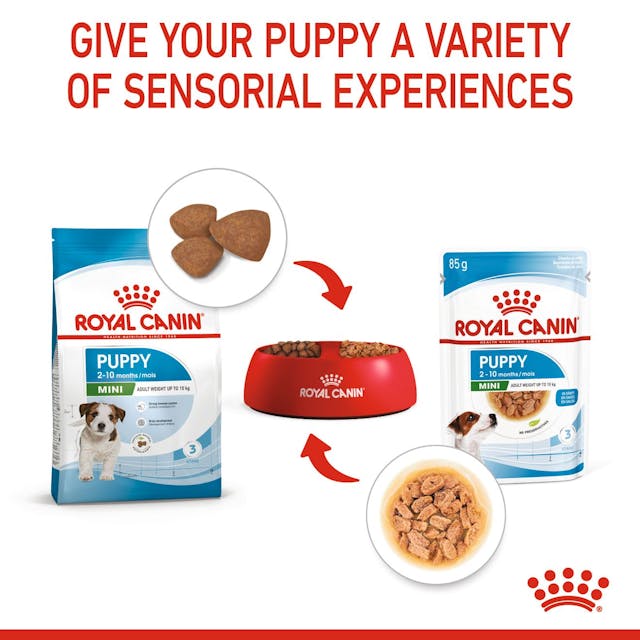 Royal Canin Mini Puppy para Perro Cachorro - 5