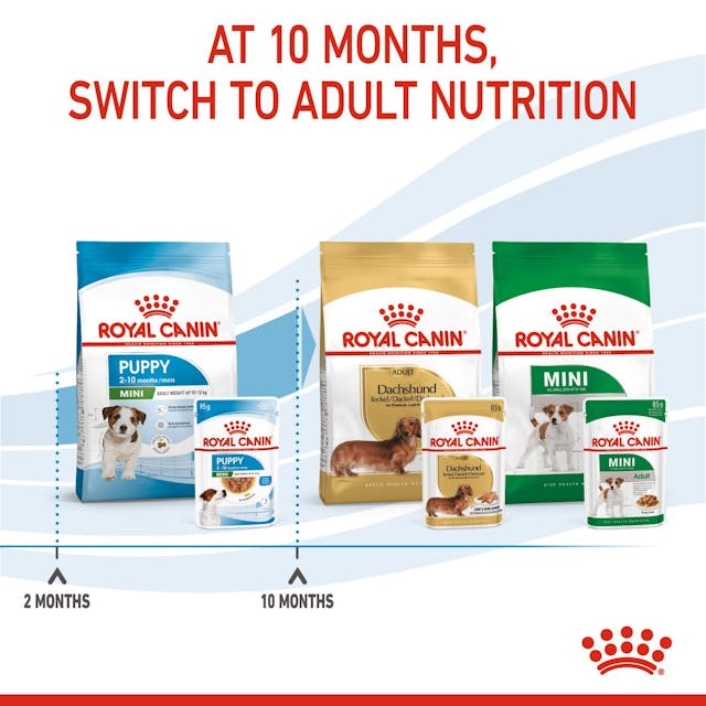 Royal Canin Mini Puppy para Perro Cachorro - 8