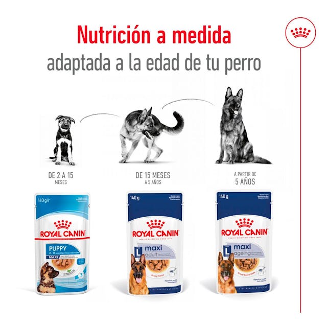 Royal Canin Maxi Adult Trocitos en Salsa para Perro Adulto Grande - 4