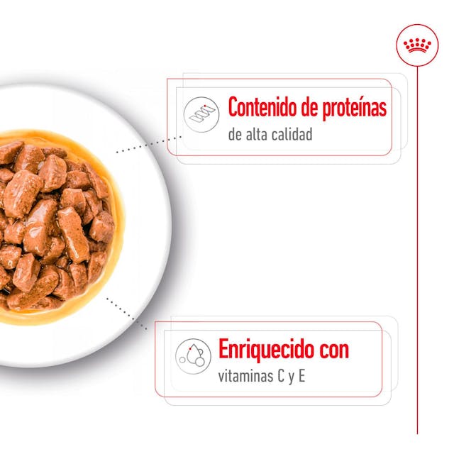 Royal Canin Medium Adult Trocitos en Salsa para Perro Adulto Mediano - 3