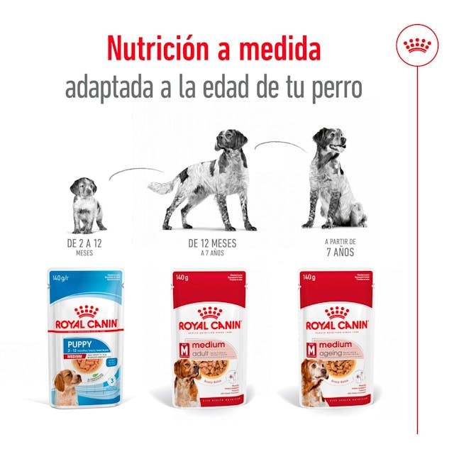 Royal Canin Medium Adult Trocitos en Salsa para Perro Adulto Mediano - 4