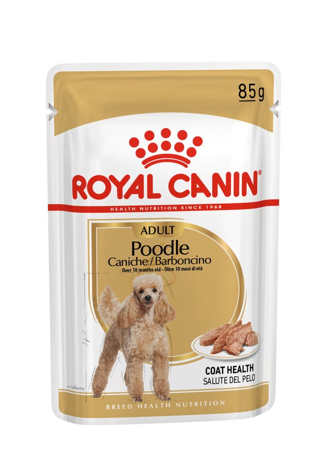 Royal Canin Poodle Adulto - 1