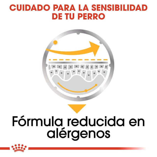 Royal Canin Dermacomfort para Perro Adulto - 2