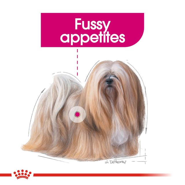 Royal Canin Exigent para Perro Adulto - 2