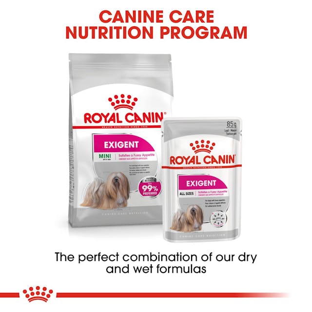 Royal Canin Exigent para Perro Adulto - 5