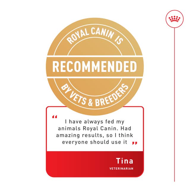 Royal Canin Relax Care para Perro Adulto - 2