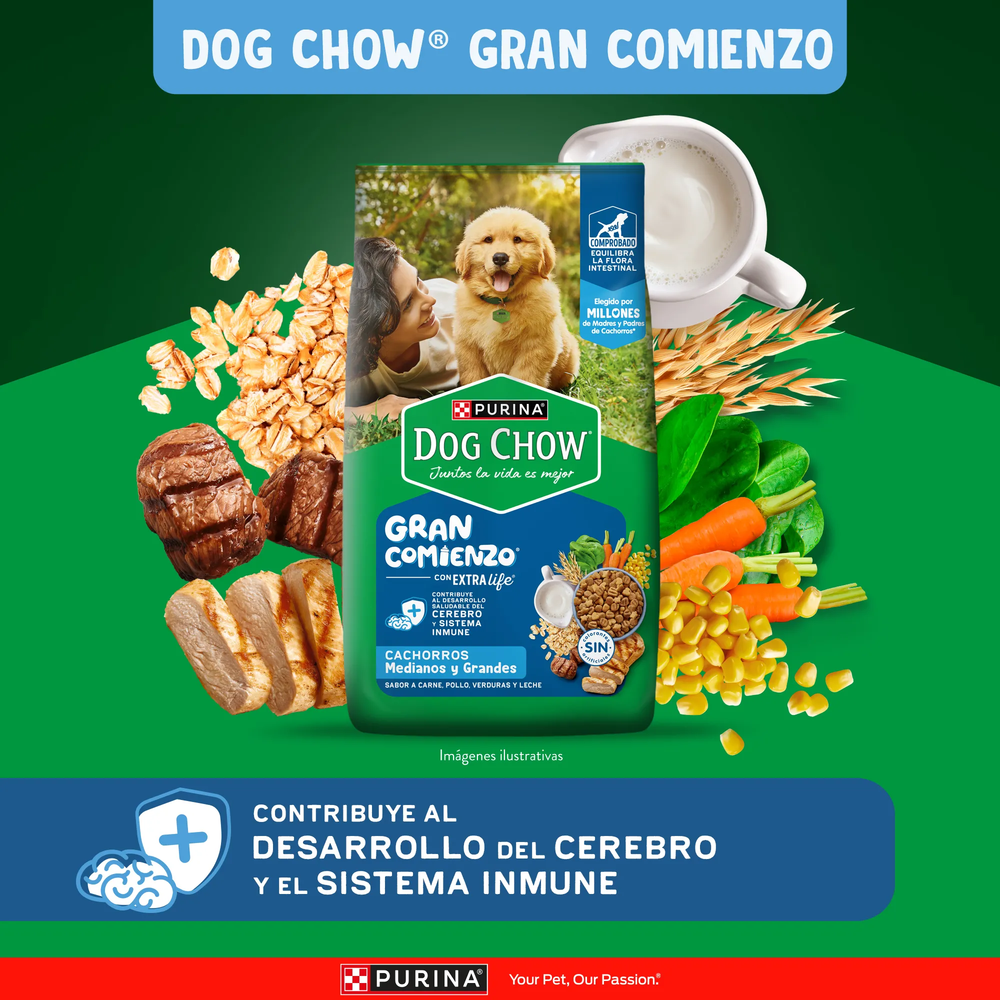 Dog Chow Gran Comienzo Cachorros Medianos y Grandes - 2