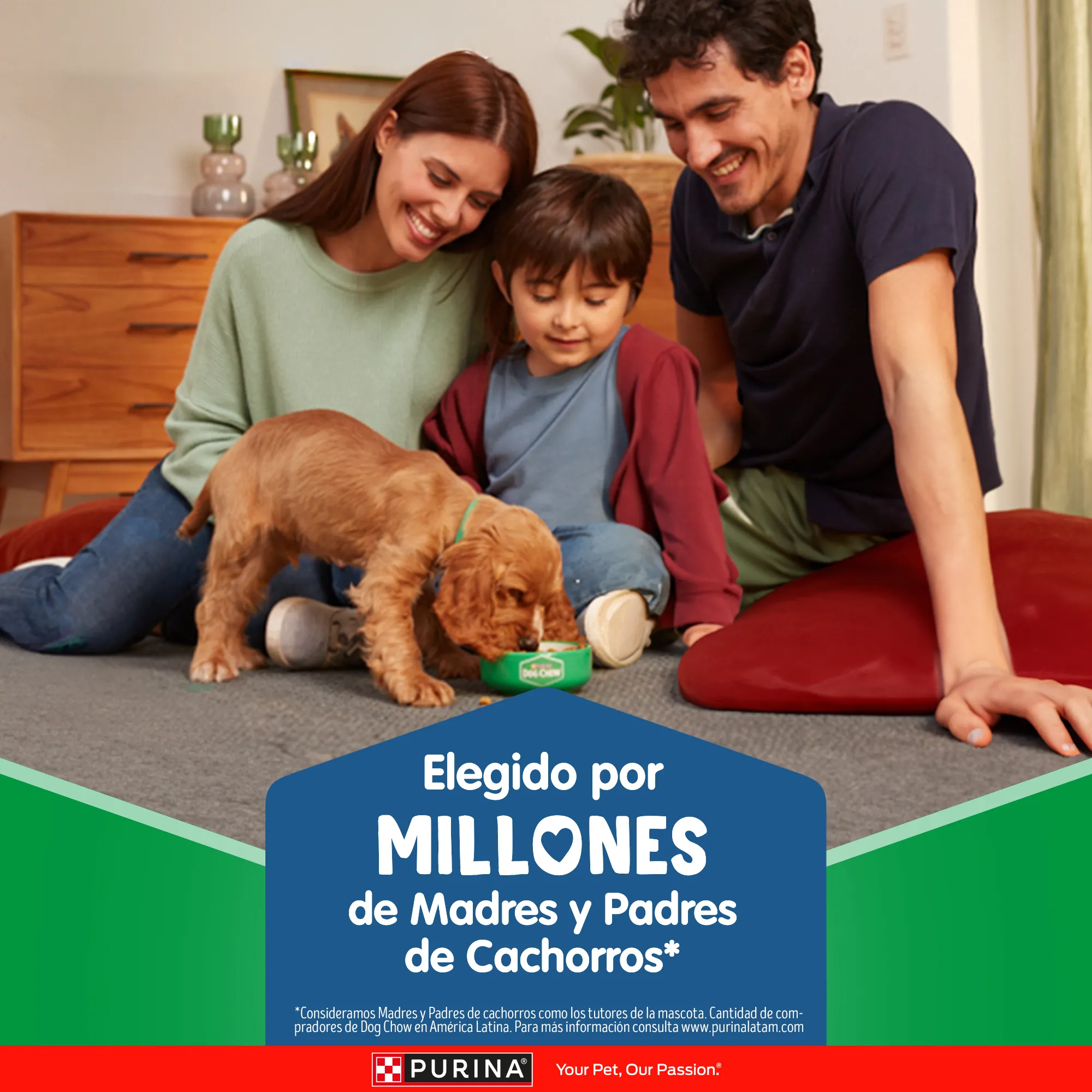 Dog Chow Gran Comienzo Cachorros Medianos y Grandes - 6