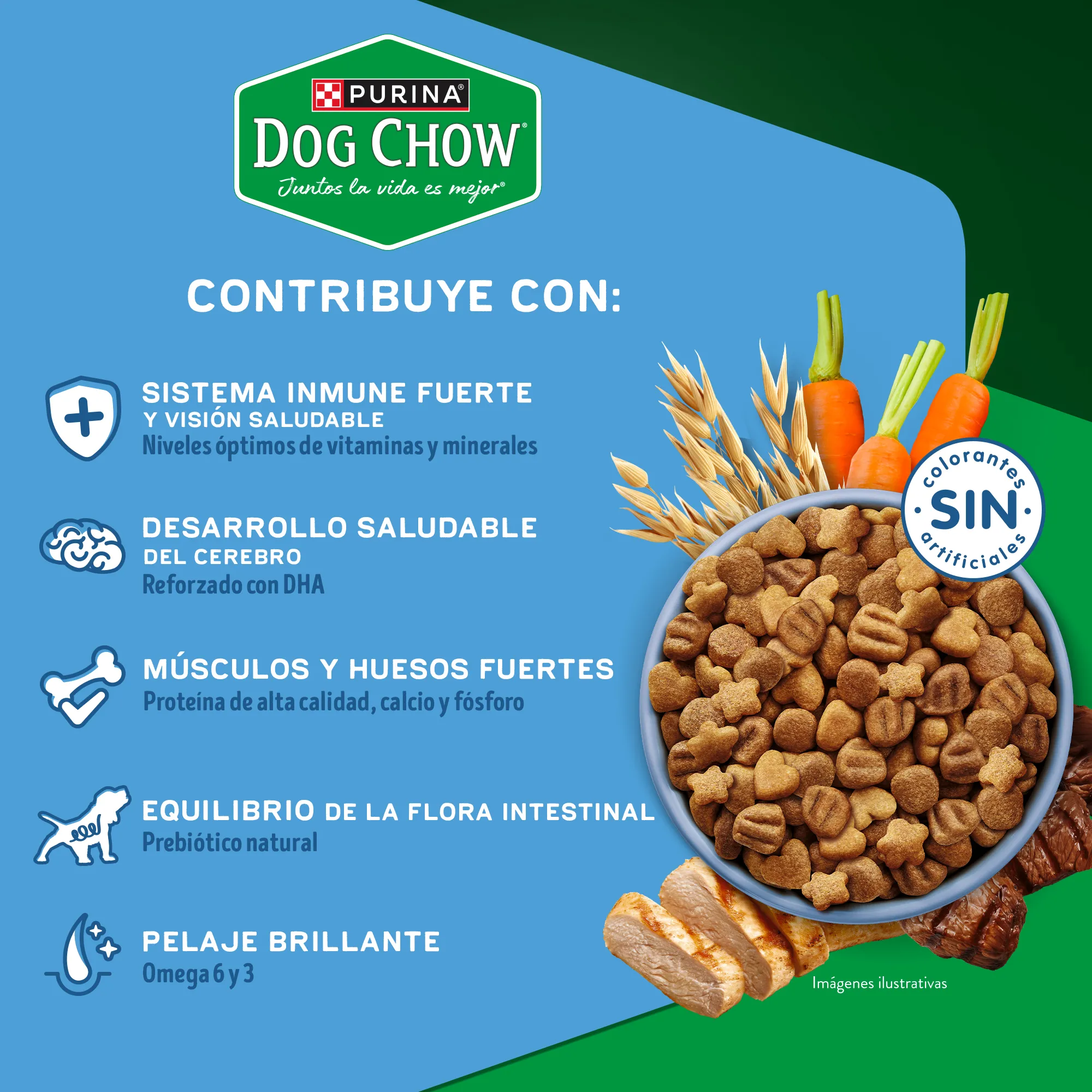 Dog Chow Gran Comienzo Cachorros Medianos y Grandes - 4