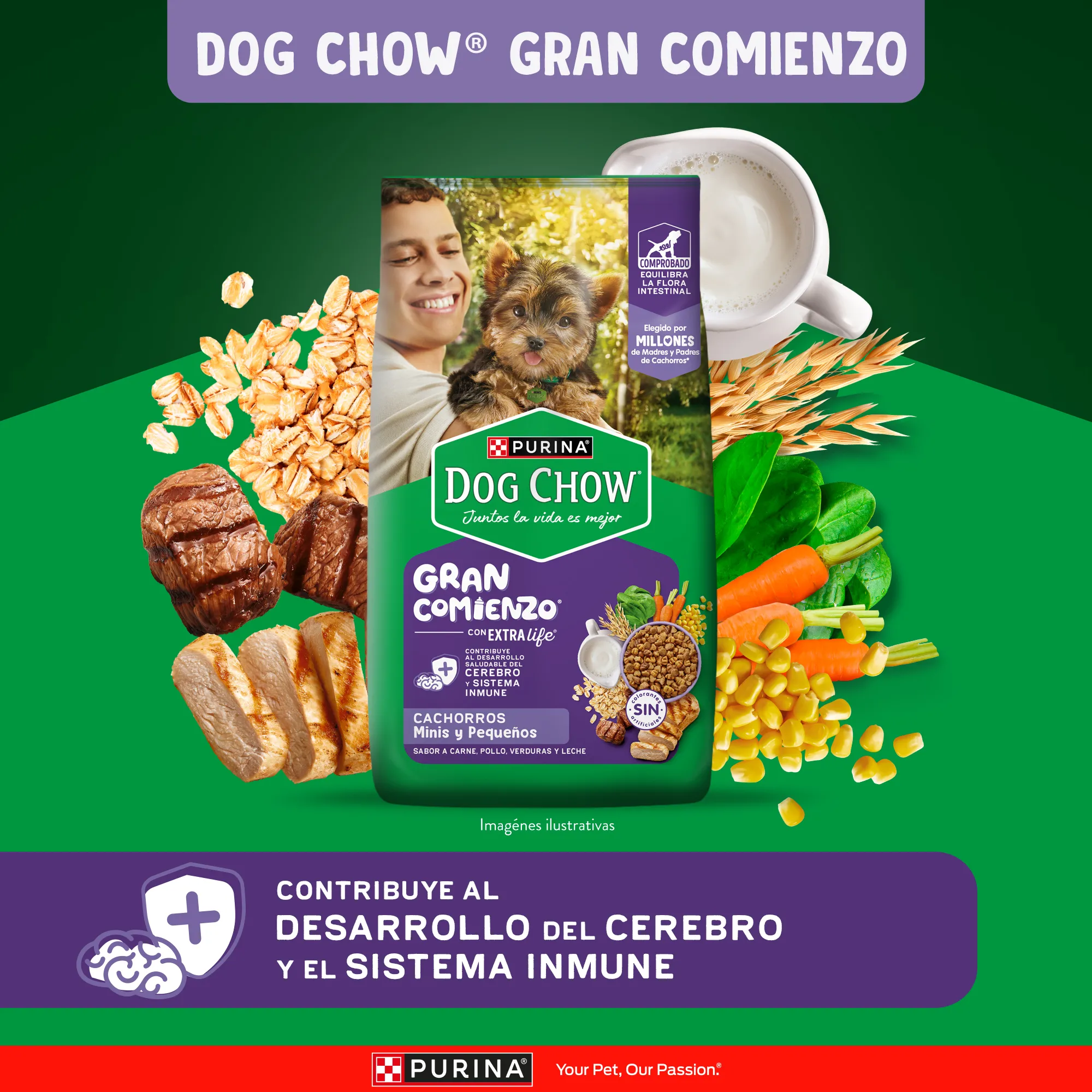 Dog Chow Gran Comienzo Cachorros Minis - 2