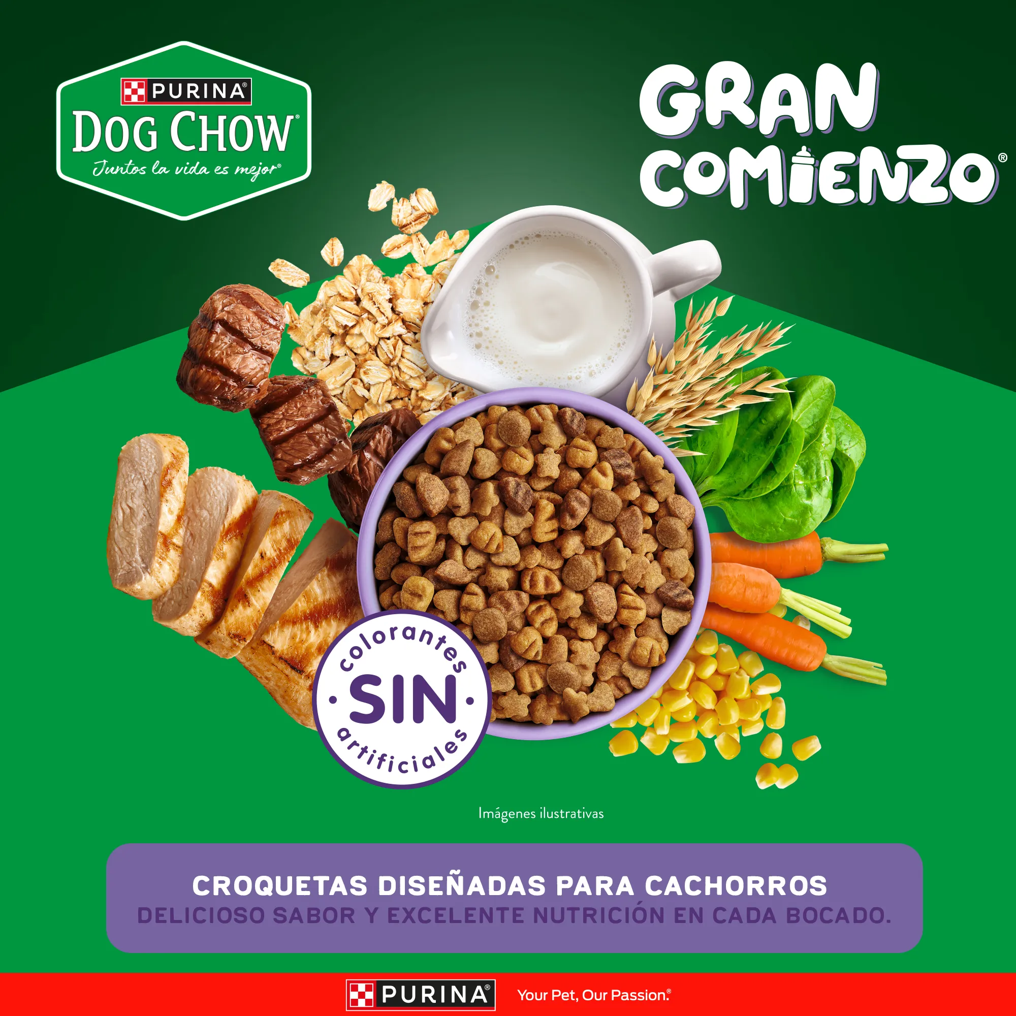 Dog Chow Gran Comienzo Cachorros Minis - 5