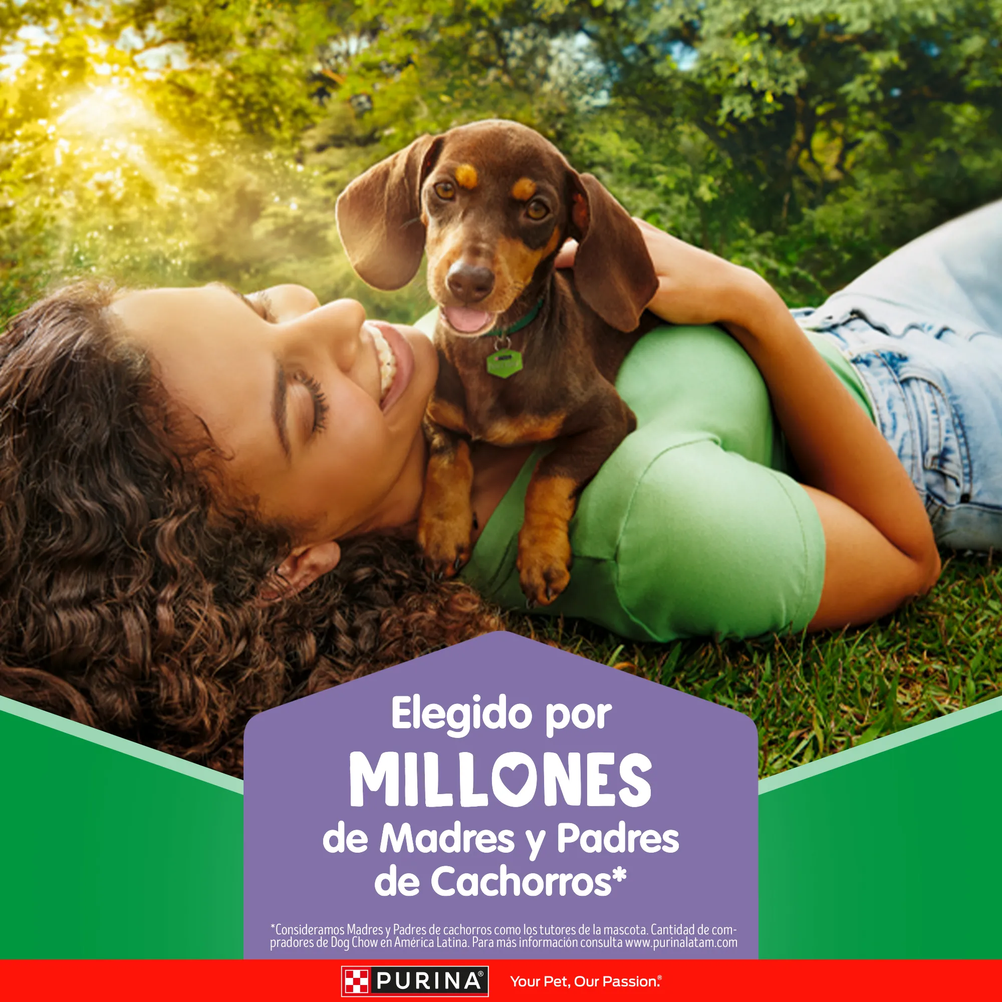 Dog Chow Gran Comienzo Cachorros Minis - 6