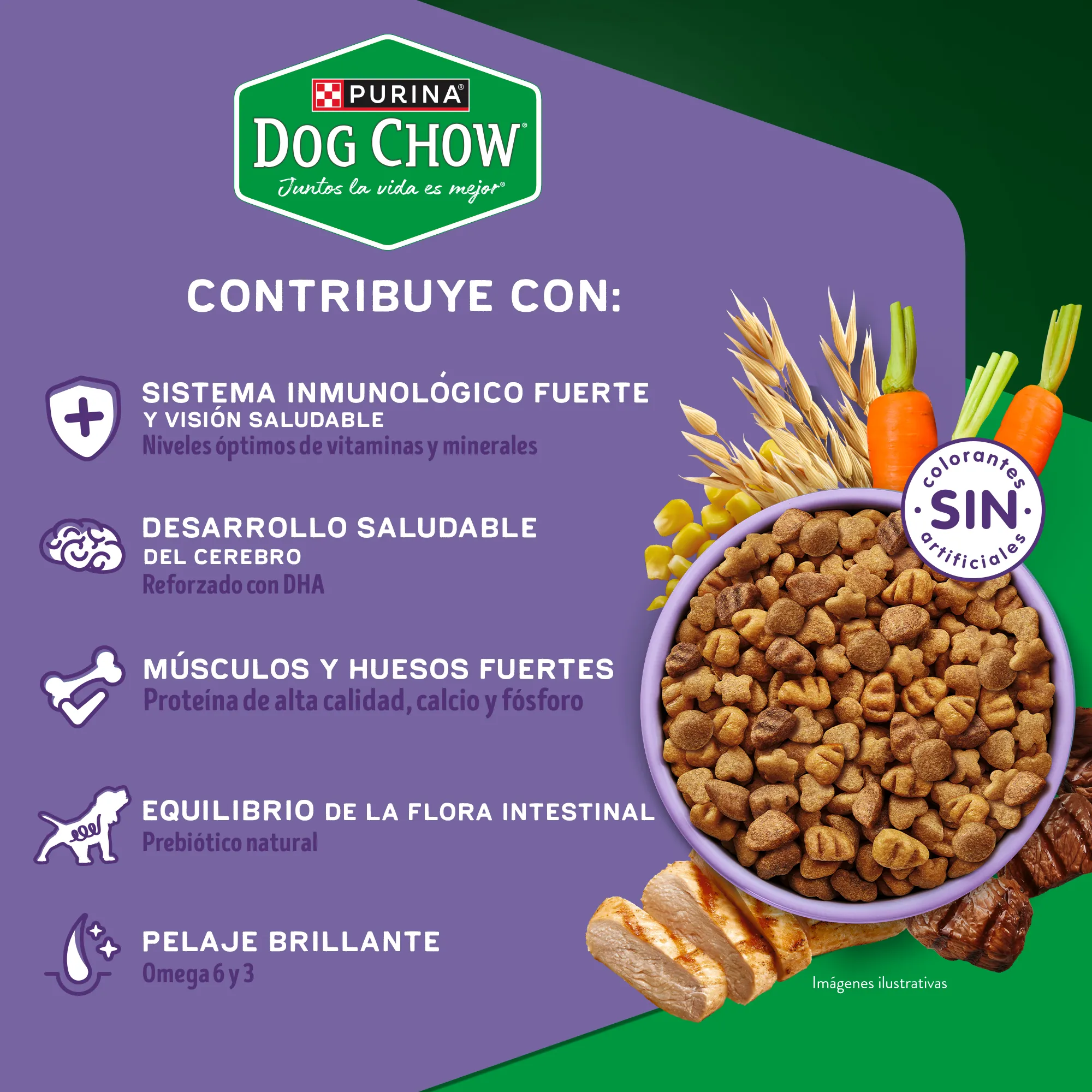 Dog Chow Gran Comienzo Cachorros Minis - 4