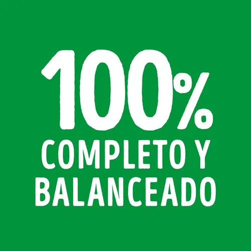 Dog Chow Húmedo con Salmón para Perro Adulto Mini/Pequeño - 6