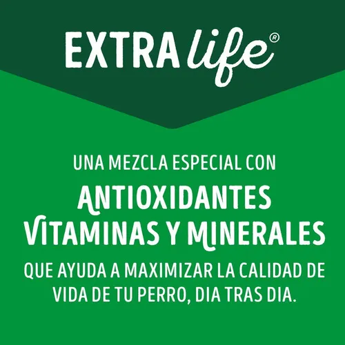 Dog Chow Húmedo con Salmón para Perro Adulto Mini/Pequeño - 4