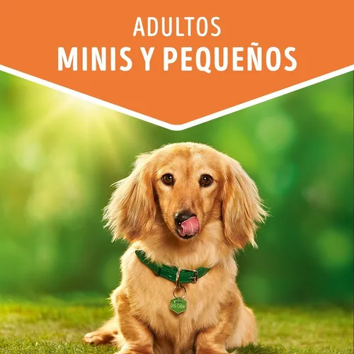 Dog Chow Húmedo con Salmón para Perro Adulto Mini/Pequeño - 3